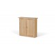 Ocean 2 Door Wall Cabinet, Elegant Style, Solid Oak