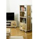 Roadie Chic Tall Bookcase (with door)