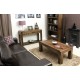 Shiro Walnut Medium Open Coffee Table